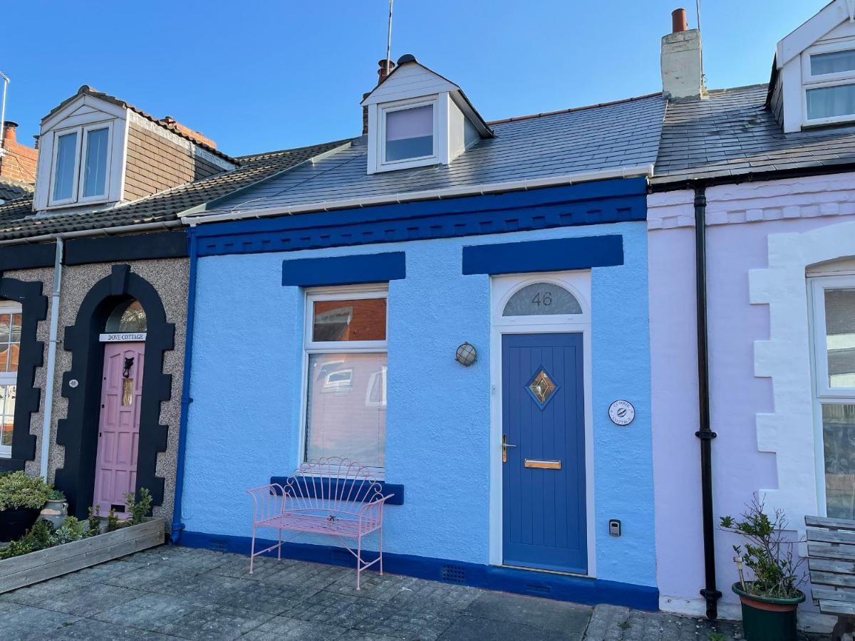 Cowrie Cottage North Shields Exterior photo